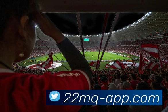 22买球中文APP服务体系